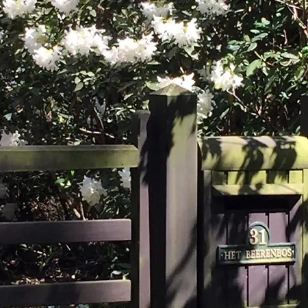 Tranquil In With Garden