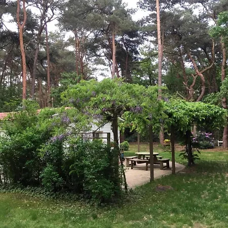 Tranquil In With Garden