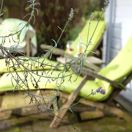 Tranquil In With Garden Holiday home *