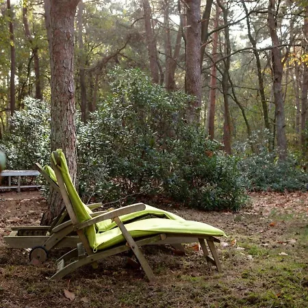 Tranquil In With Garden * Lille